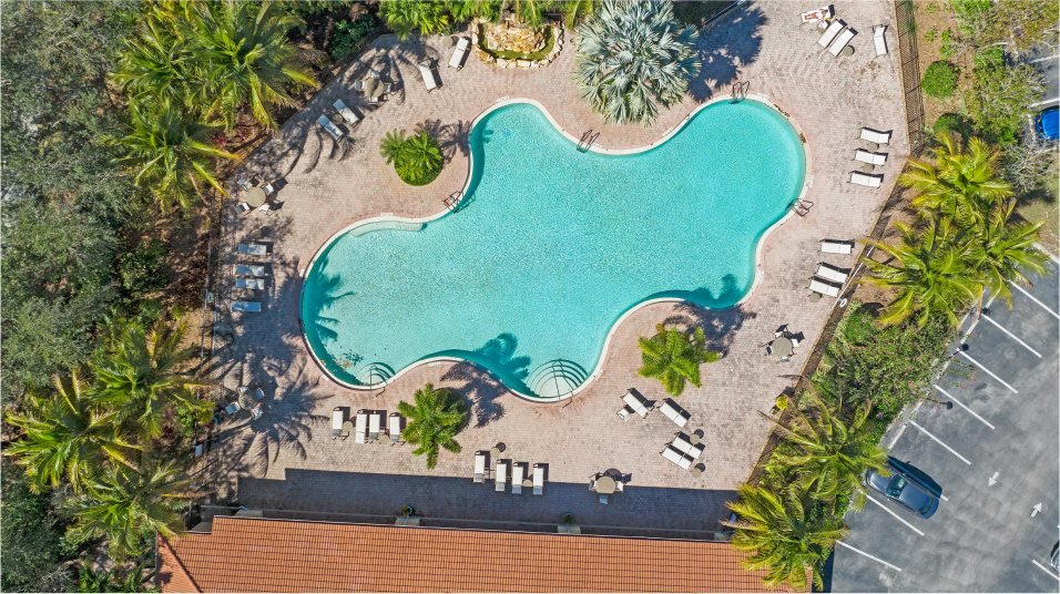 Resort-style community swimming pool with lounge chairs and palms at Valencia Golf & Country Club